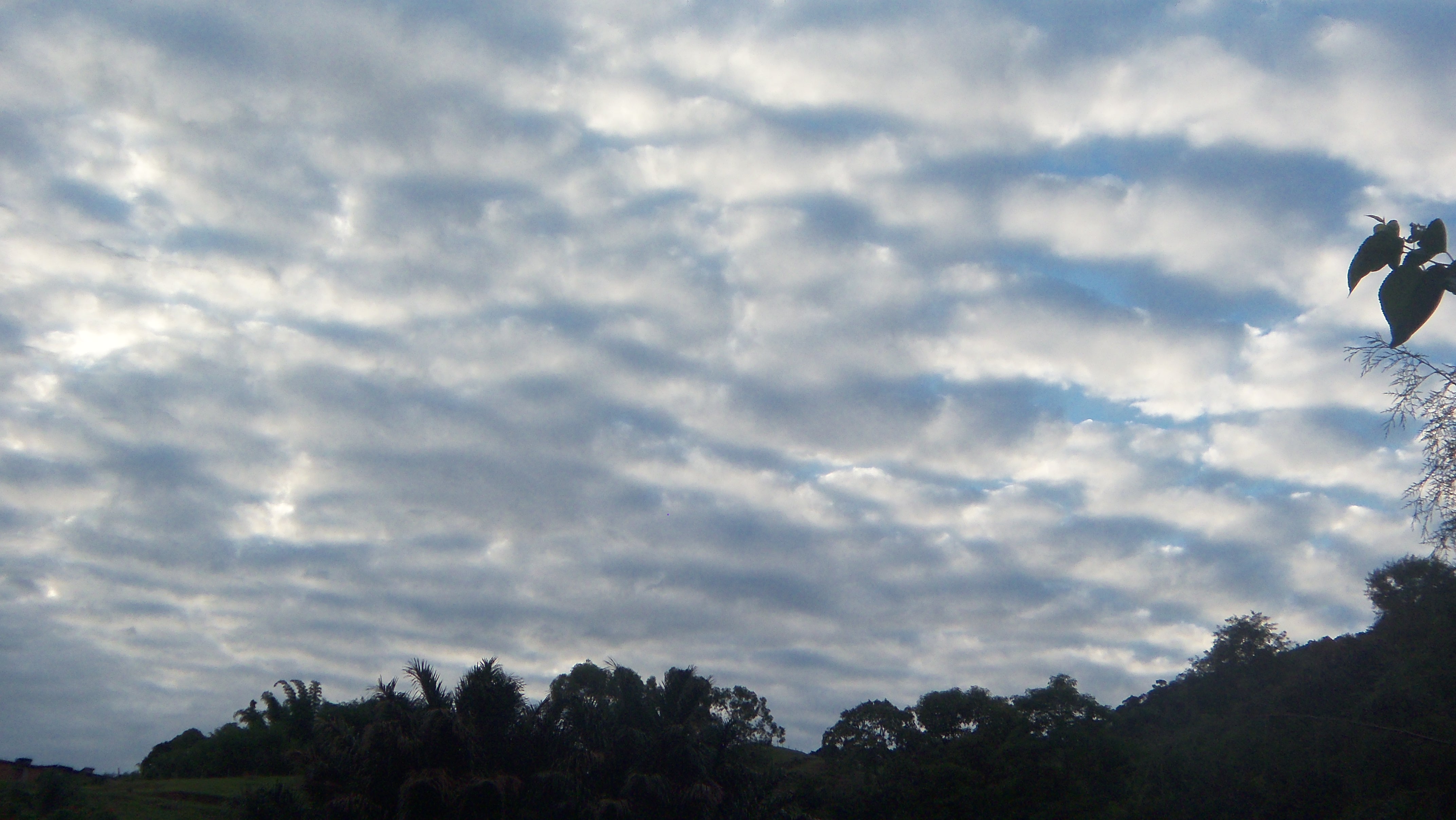 Altocumulus ou Stratocumulus?