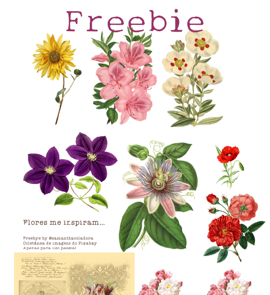 Freebie com o tema flores