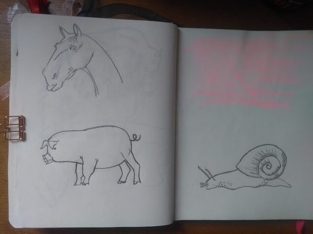 A professora de artes que disse que eu não sabia desenhar