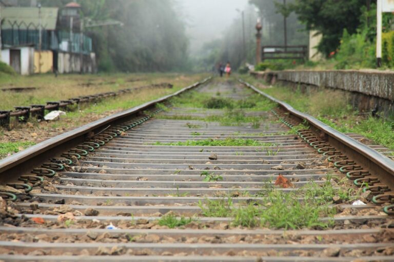 O trem da internet